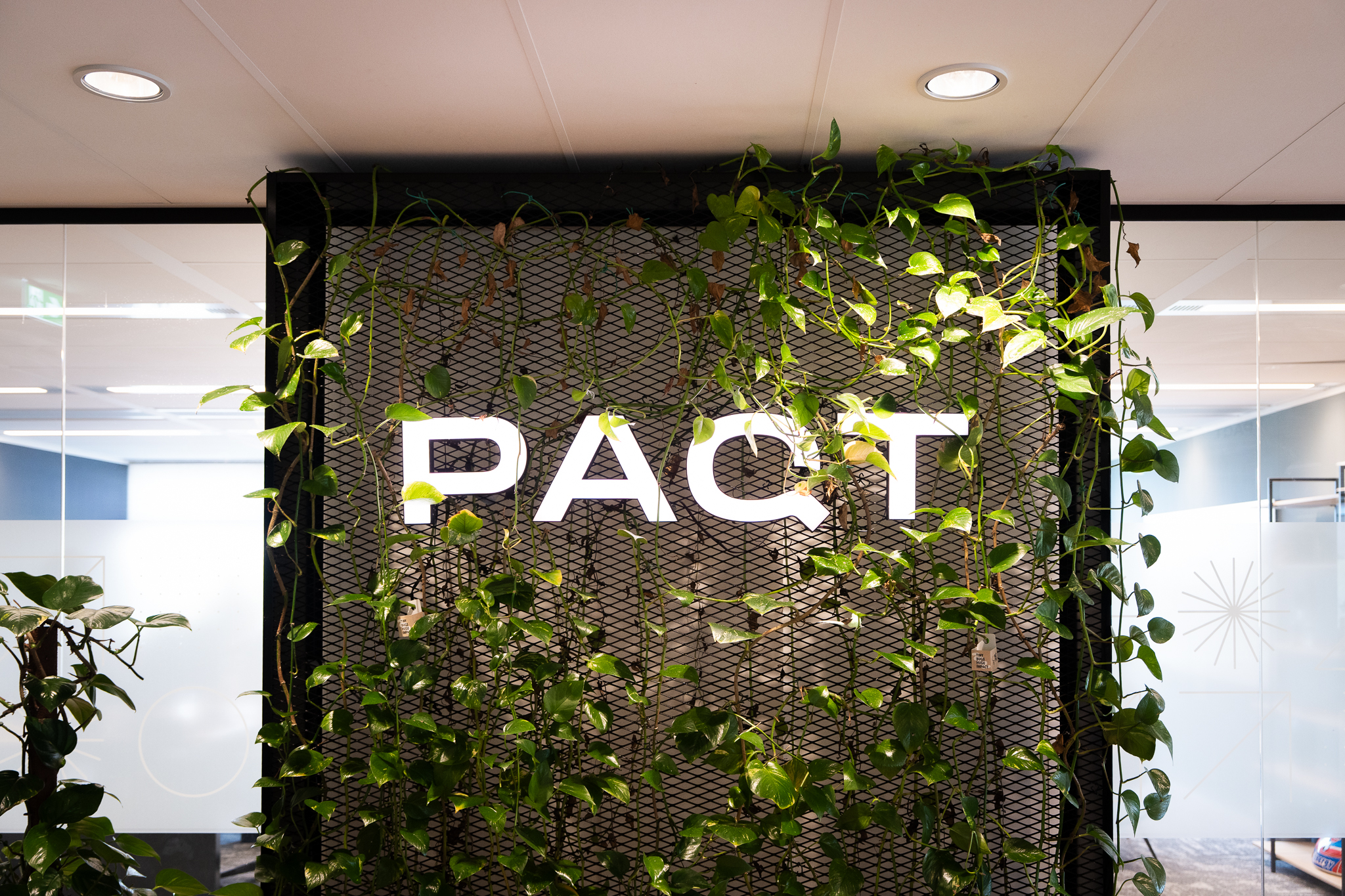 Paqt-web-5