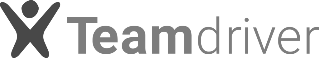 Teamdriver_logo-1024x188_greyscale
