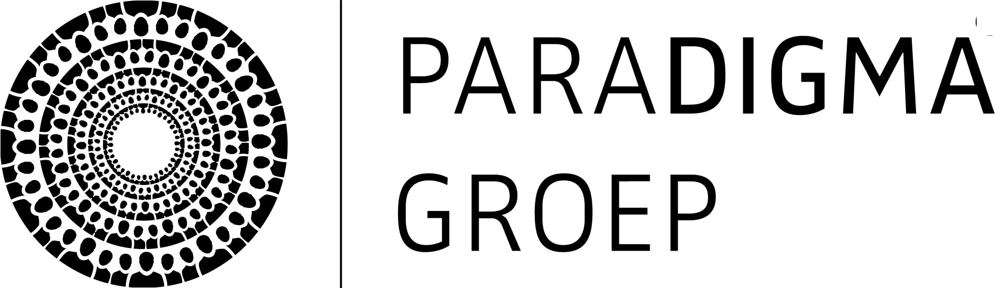 paraDIGMA-groep-logo